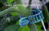 CLUJ NAPOCA Magazin agricol online cu sere si solarii hobby si profesionale plus accesorii,  la shop sere transi